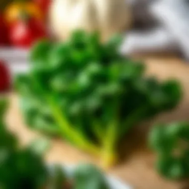 Leafy Greens: Vital Nutrients for Young Minds Nutrients found in leafy greens for baby health