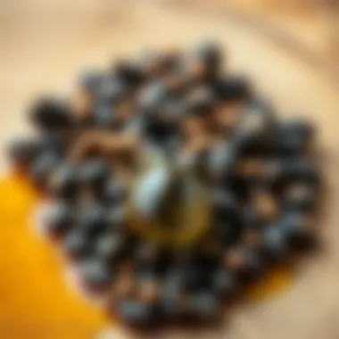 Essence of Black Cumin: Seeds and Oil Close-up of black cumin seeds and oil droplet