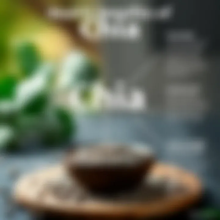 Health Benefits of Chia Seeds Infographic Health benefits of chia seeds illustrated in an engaging infographic