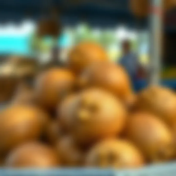 Fresh coconuts displayed at a market, showcasing their importance