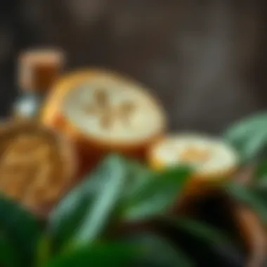 Exploring the Benefits of Eucalyptus Oil Benefits of eucalyptus oil