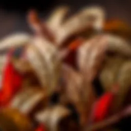 A close-up of Gano Rooibos leaves showcasing their rich color and texture