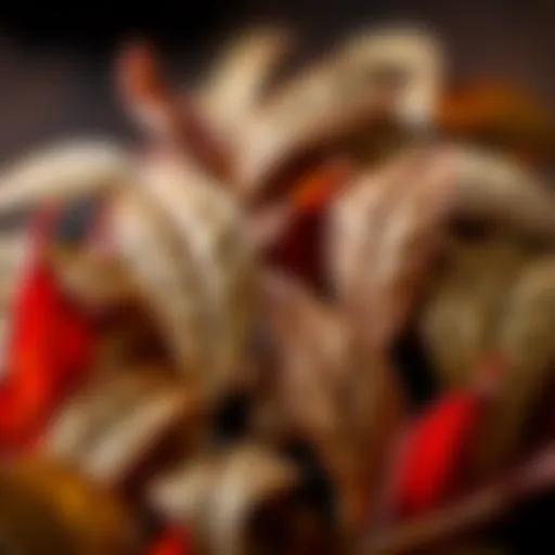 A close-up of Gano Rooibos leaves showcasing their rich color and texture
