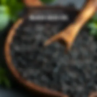 Health Benefits of Black Seed Oil Explained Infographic on health benefits of black seed oil