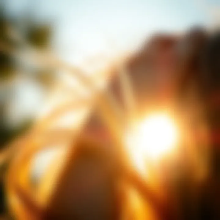 Healthy Hair Benefits of Castor Oil Close-up of healthy hair strands illuminated by sunlight