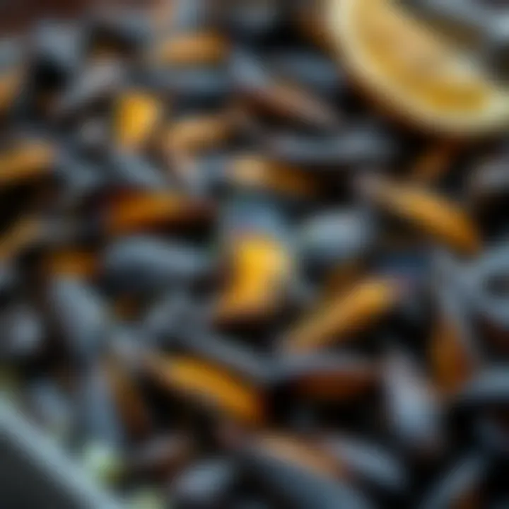 Seasonal changes affecting mussel supply