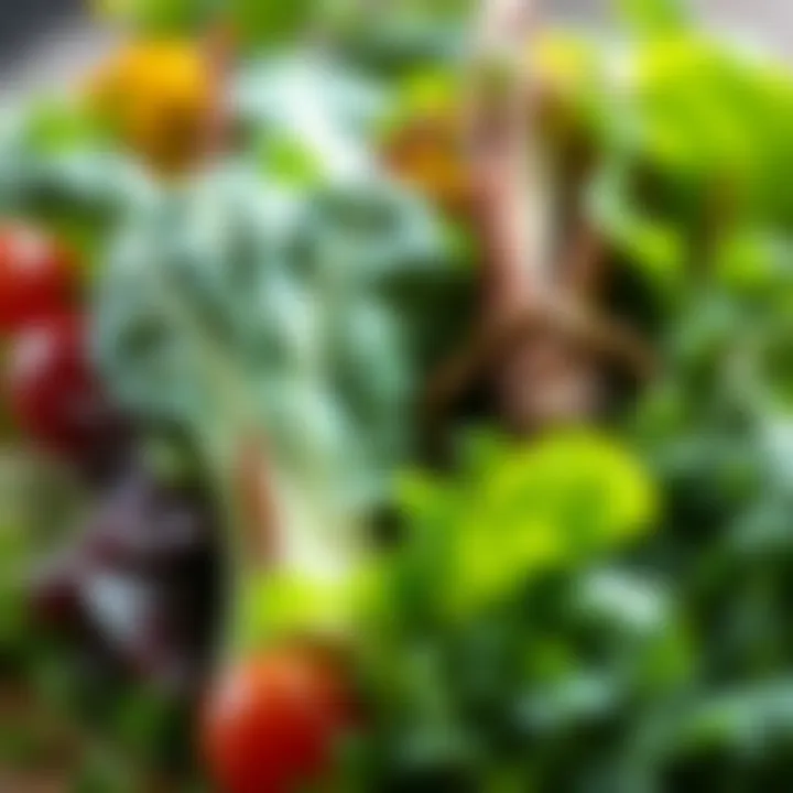 A vibrant assortment of leafy greens rich in vitamin K