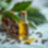 Nourishing Benefits of Clove Oil Nourishing properties of clove oil for hair health