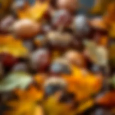 Chestnuts surrounded by autumn leaves, symbolizing seasonal flavors.