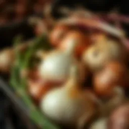 Freshly harvested onions ready for market