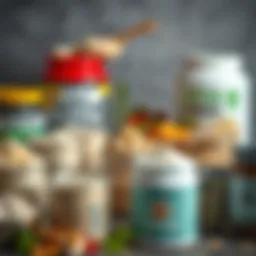 Diverse protein powder types displayed in containers