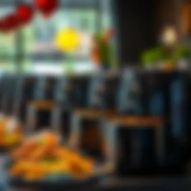 Diverse Philips Air Fryer Models Available Overview of various Philips air fryer models on display