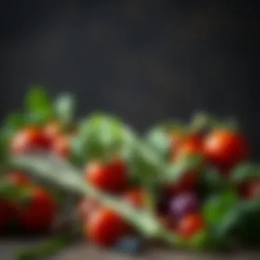 Fresh vegetables from spring harvest