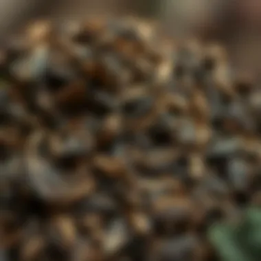 Dried Leaves of Yayla Tea A close-up of dried Yayla tea leaves, emphasizing their rich texture and color, ready for infusion.