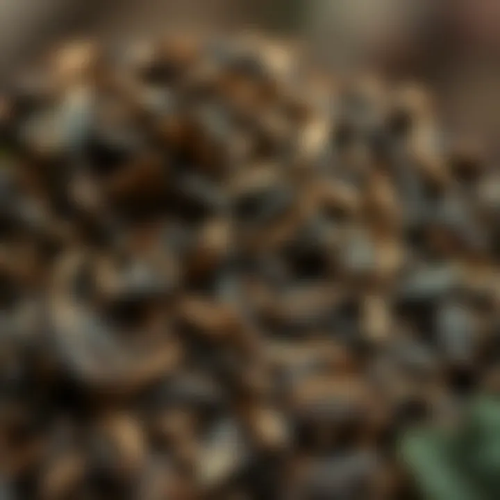 Dried Leaves of Yayla Tea A close-up of dried Yayla tea leaves, emphasizing their rich texture and color, ready for infusion.