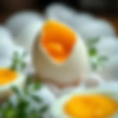 Nutritional Benefits of Eggs Nutritional benefits of eggs